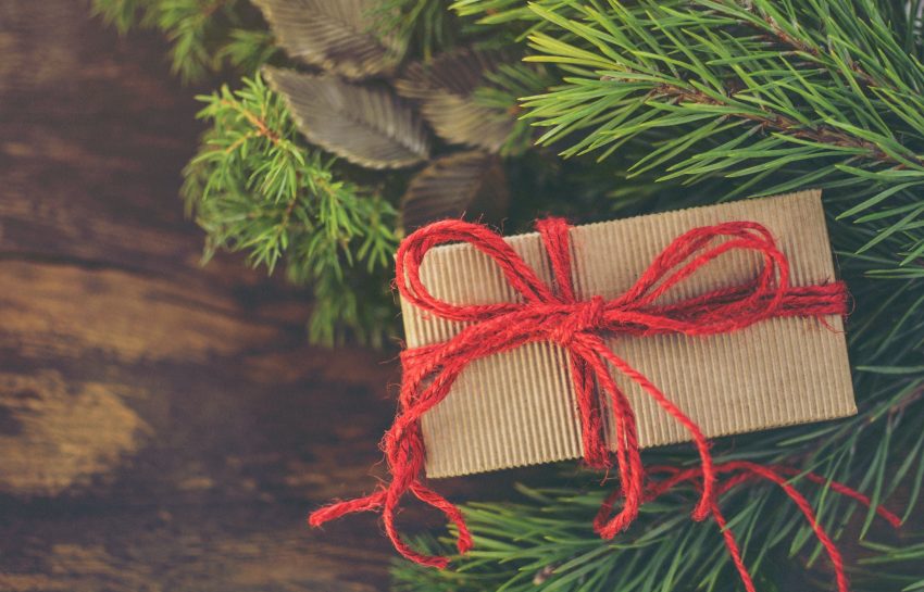 Gift covered under the Best Buy Holiday Return policy